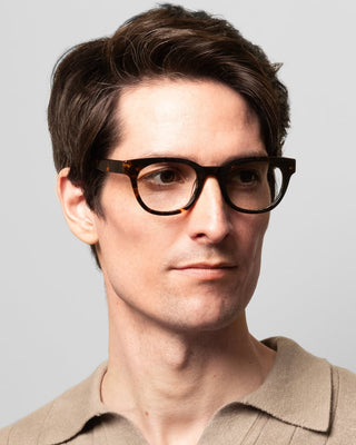 Jamie Turtle Brown Blue Light
