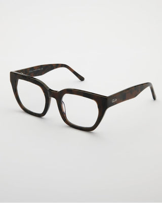Kiara Turtle Brown Readers