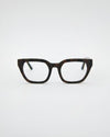 Kiara Turtle Brown Readers