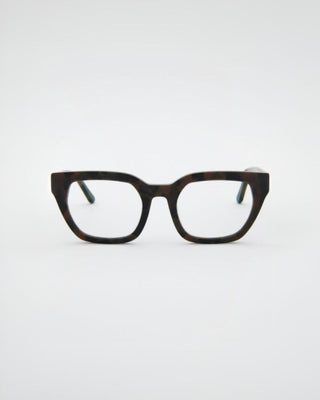 Kiara Turtle Brown Readers