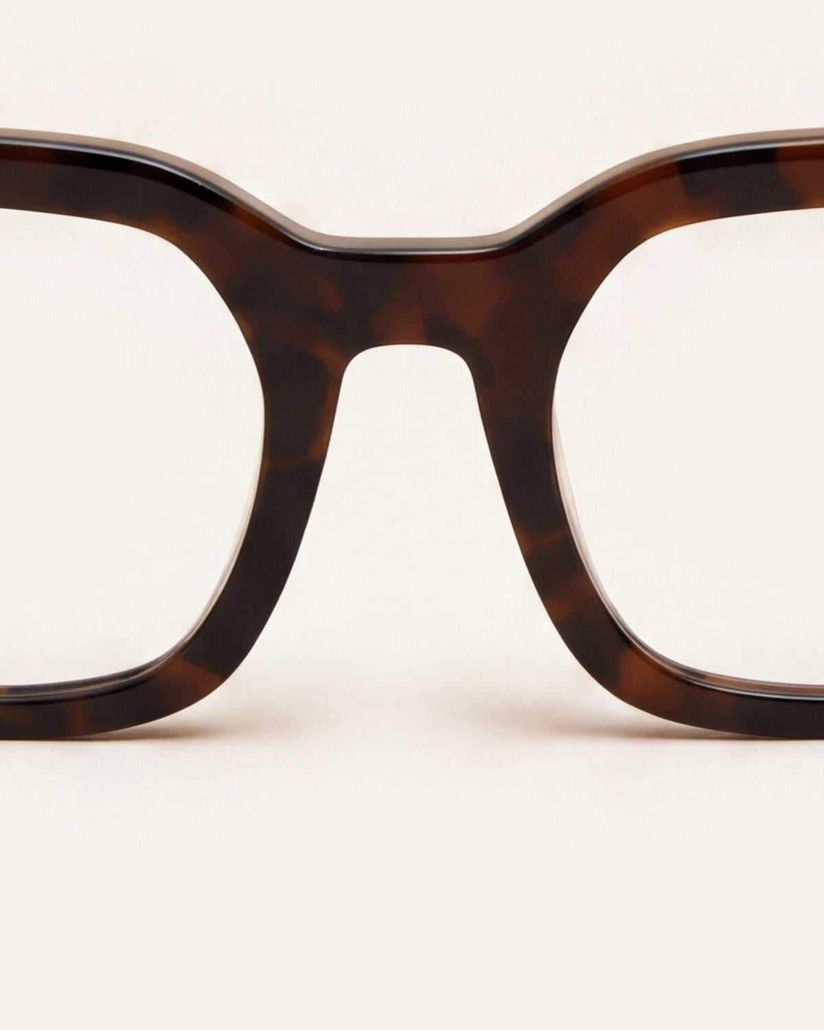 Kiara Turtle Brown Blue Light, detail