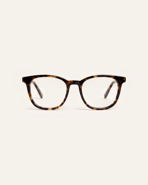 Zoey Amber Turtle Readers, front