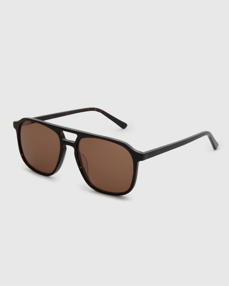 Robyn Turtle Brown Sunglasses