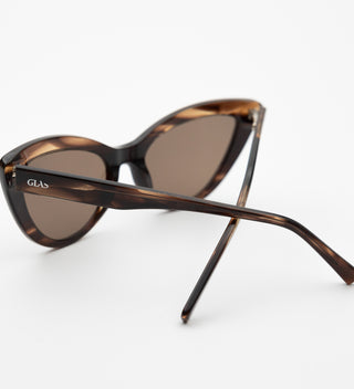 Stella Dark Brown Zonnebrillen