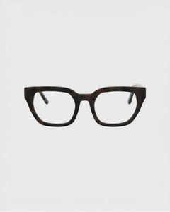 Kiara Turtle Brown Readers